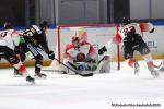 Photo hockey match Rouen - Mulhouse le 15/01/2020
