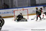 Photo hockey match Rouen - Mulhouse le 15/01/2020