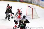 Photo hockey match Rouen - Mulhouse le 15/01/2020