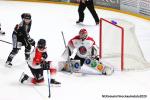 Photo hockey match Rouen - Mulhouse le 15/01/2020