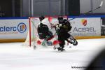 Photo hockey match Rouen - Mulhouse le 15/01/2020