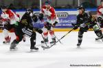 Photo hockey match Rouen - Mulhouse le 15/01/2020
