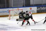 Photo hockey match Rouen - Mulhouse le 26/01/2020