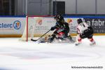 Photo hockey match Rouen - Mulhouse le 26/01/2020