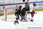 Photo hockey match Rouen - Mulhouse le 06/03/2021