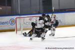 Photo hockey match Rouen - Mulhouse le 15/01/2022