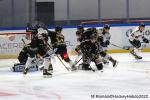 Photo hockey match Rouen - Mulhouse le 15/01/2022