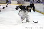 Photo hockey match Rouen - Mulhouse le 29/09/2012