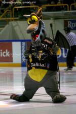 Photo hockey match Rouen - Neuilly/Marne le 28/09/2010