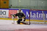 Photo hockey match Rouen - Nice le 06/01/2017