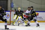 Photo hockey match Rouen - Nice le 15/10/2017