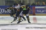 Photo hockey match Rouen - Nice le 15/01/2019