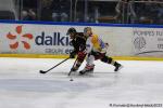Photo hockey match Rouen - Nice le 21/02/2025