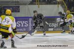 Photo hockey match Rouen - Strasbourg  le 17/11/2013