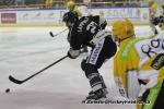 Photo hockey match Rouen - Strasbourg  le 17/11/2013