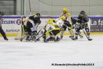 Photo hockey match Rouen - Strasbourg  le 17/11/2013