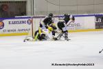 Photo hockey match Rouen - Strasbourg  le 17/11/2013