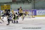 Photo hockey match Rouen - Strasbourg  le 17/11/2013