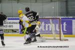 Photo hockey match Rouen - Strasbourg  le 17/11/2013