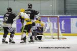 Photo hockey match Rouen - Strasbourg  le 17/11/2013