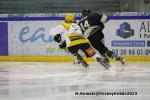 Photo hockey match Rouen - Strasbourg  le 17/11/2013
