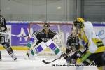 Photo hockey match Rouen - Strasbourg  le 17/11/2013
