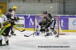 Photo hockey match Rouen - Strasbourg  le 17/11/2013