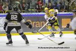 Photo hockey match Rouen - Strasbourg  le 17/11/2013