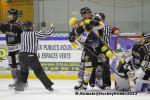 Photo hockey match Rouen - Strasbourg  le 17/11/2013