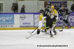 Photo hockey match Rouen - Strasbourg  le 17/11/2013
