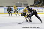 Photo hockey match Rouen - Strasbourg  le 17/11/2013
