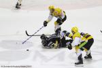 Photo hockey match Rouen - Strasbourg  le 13/02/2015