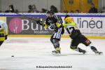 Photo hockey match Rouen - Strasbourg  le 13/02/2015