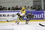 Photo hockey match Rouen - Strasbourg  le 13/02/2015