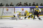Photo hockey match Rouen - Strasbourg  le 13/02/2015