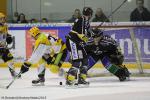 Photo hockey match Rouen - Strasbourg  le 13/02/2015