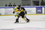Photo hockey match Rouen - Strasbourg  le 13/02/2015