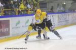 Photo hockey match Rouen - Strasbourg  le 05/01/2016