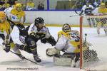 Photo hockey match Rouen - Strasbourg  le 05/01/2016