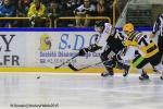 Photo hockey match Rouen - Strasbourg  le 05/01/2016