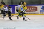 Photo hockey match Rouen - Strasbourg  le 05/01/2016