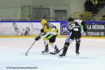 Photo hockey match Rouen - Strasbourg  le 05/01/2016