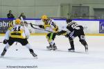 Photo hockey match Rouen - Strasbourg  le 05/01/2016