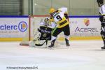 Photo hockey match Rouen - Strasbourg  le 05/01/2016