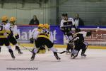 Photo hockey match Rouen - Strasbourg  le 05/01/2016