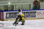 Photo hockey match Rouen - Strasbourg  le 05/01/2016