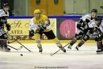 Photo hockey match Rouen - Strasbourg  le 05/01/2016