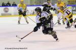 Photo hockey match Rouen - Strasbourg  le 05/01/2016