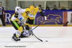 Photo hockey match Rouen - Strasbourg  le 05/01/2016