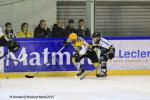 Photo hockey match Rouen - Strasbourg  le 05/01/2016
